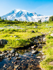 Stream of glacier water flowing down subalpine meadows with glacier in the background