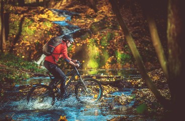 Bike RIde in the Forest