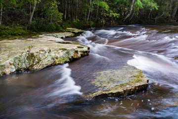 Stream in the tropical forest.