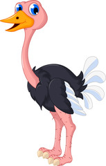 ostrich cartoon posing