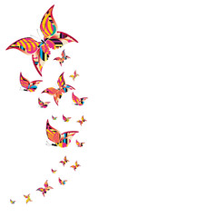 beautiful butterflies, isolated on a white