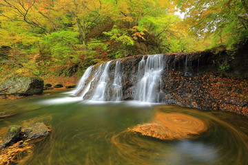葛丸渓流　紅葉の一の滝