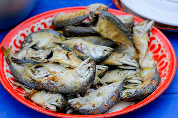 mackerel fry
