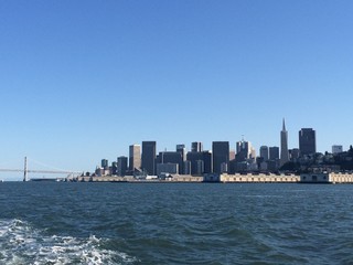 Naklejka premium From the Bay