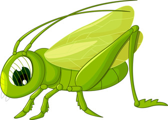 cute grasshopper cartoon - obrazy, fototapety, plakaty