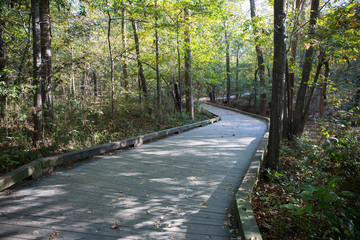 Boardwalk in a wetland in Autumn