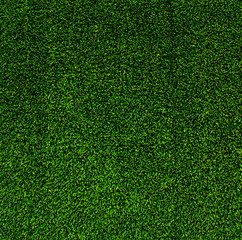 Obraz premium artificial grass