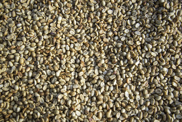 Peanuts background, soft and select focus