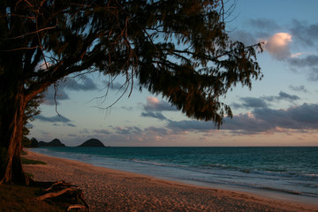Bellows beach at dawn