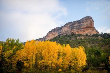 Autumn colors in Cuenca province, Spain
