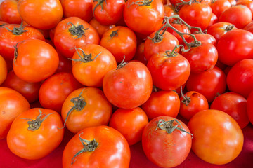 Fresh tomato from organic farm