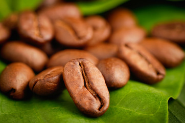 Fair trade organic coffee beans