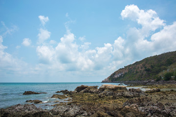 Rocks on the coast of Sattahip - Thailand Sea