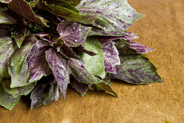 Purple and green basil