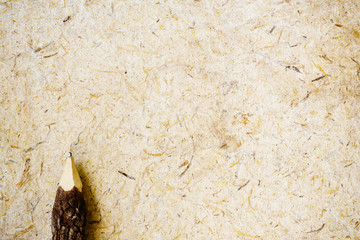 Wooden Pencils on mulberry paper with copy space