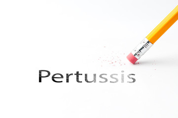 Closeup of pencil eraser and black pertussis text. Pertussis. Pencil with eraser.