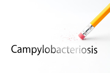Closeup of pencil eraser and black campylobacteriosis text. Campylobacteriosis, vibriosis. Pencil with eraser.