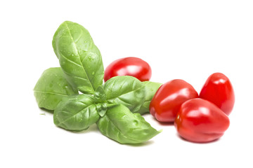 basil sprig of green with several small ripe tomatoes