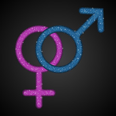 Gender Men Women Blue Pink Sequins Icon.