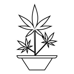 Hemp in pot icon. Outline illustration of hemp in pot vector icon for web