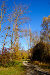 chemin et paysage des Hautes Alpes