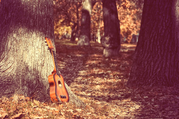 guitar standing by tree in park