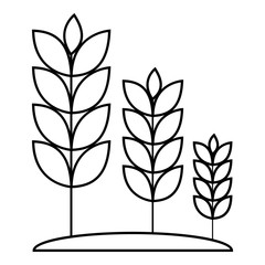 Wheat germ icon. Outline illustration of wheat germ vector icon for web