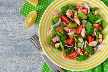 Fresh salad with smoked salmon, tomatoes, onions and sauce 