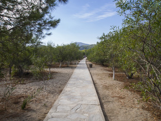 concrete walkway in garden