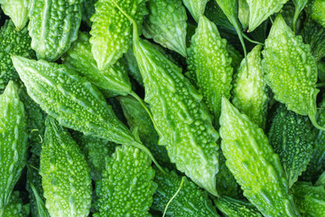 Fresh bitter cucumber © aam460