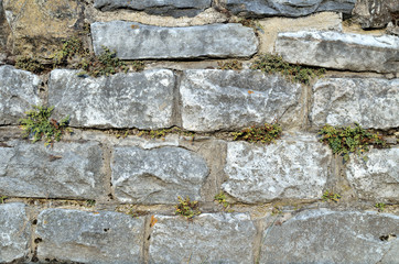 Massive stone wall covered with moss texture