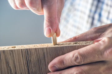 Man assembling furniture at home, hand with wooden dowel pins
