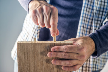 Man assembling furniture at home, hand with wooden dowel pins