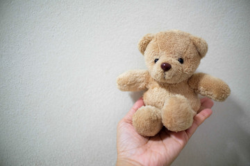 Brown bear doll on woman hand.