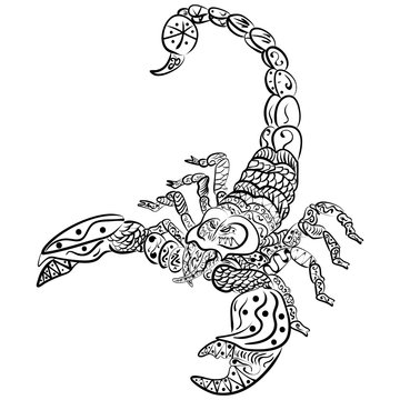 zentangle vector scorpion, Black and white zentangle art. Ethnic pattern