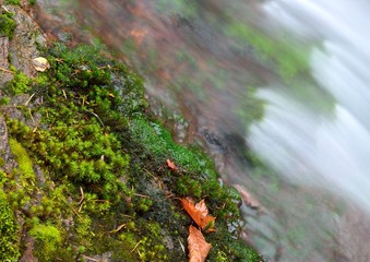 秋の滝の流れ-横谷渓谷、日本