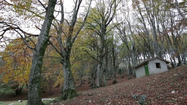 Abandoned house in the woods on the Mount Cucco in Umbria in Italy