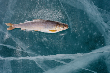 Winter fishing on the lake.