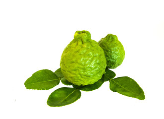 Fresh organic bergamot or kaffir,closeup shot on white isolated.