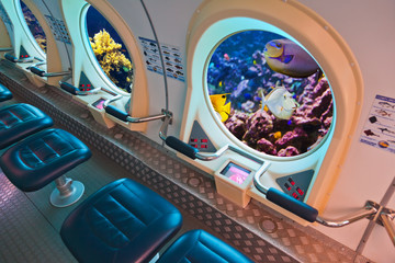 Fototapeta na wymiar Fishes in submarine window