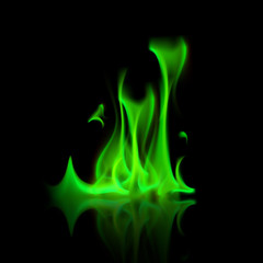 Vector Green Magic Fire Flame Bonfire Isolated