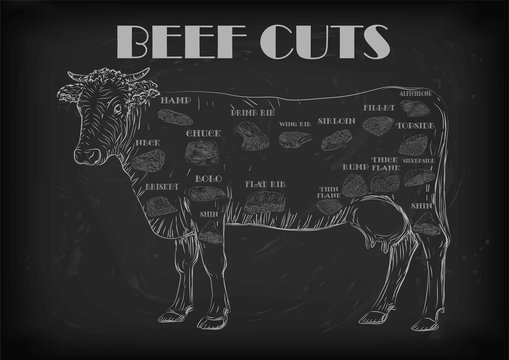 Beef cow bull whole carcass cuts cut parts infographics scheme 