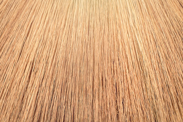 Texture of Broom grass