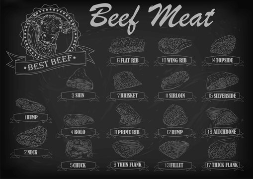 Beef cow bull whole carcass cuts cut parts infographics scheme 