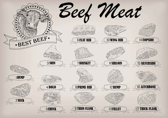 Beef cow bull whole carcass cuts cut parts infographics scheme