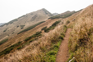 Fototapeta premium autumn Mala Fatra mountains in Slovakia with hiking trail, mountain meadow and Velky Krivan hill