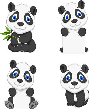 collection funny cartoon panda