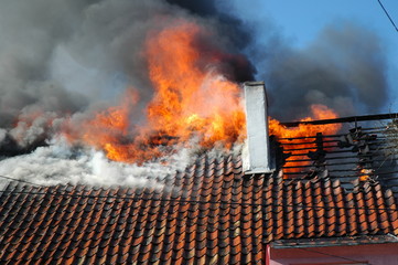 Fire