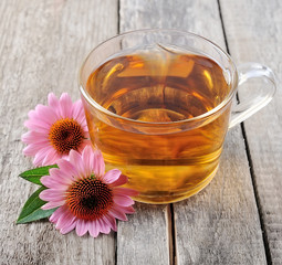 Echinacea tea.Medicinal tea.