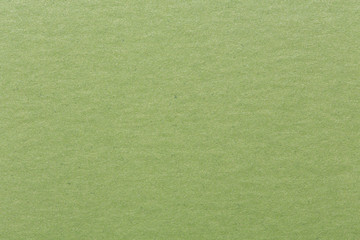 Blank piece of green paper as background.
